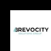 Brevocity Solutions Group